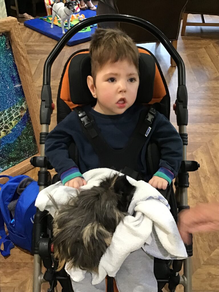 Terapia con gli animali al Ritiro di Reuben